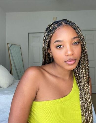 Ombre Blonde Box Braids