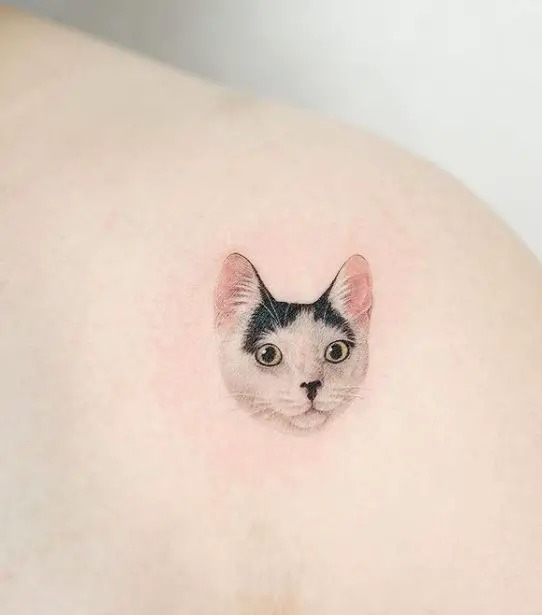 cat tattoo in colour