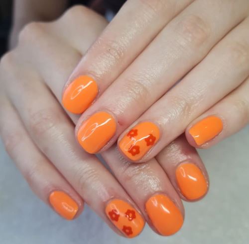 Bright Orange with Dark Burnt Red Flowers