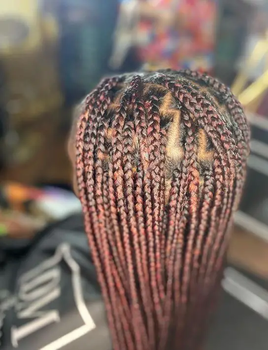 Currant Red Box Braids Hairstyles
