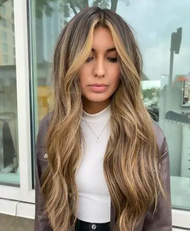 65+ Brown Hair With Blonde Highlights Looks To Spark Your Interest