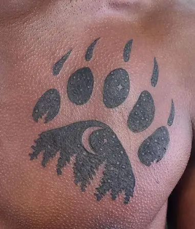 Fresh black work bear paw with a night sky and forest scene