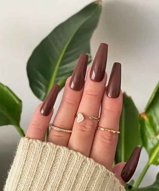 Glossy Brown Coffin Nails