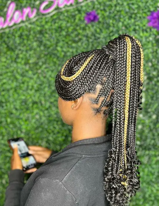 High Ponytail Tribal Braids