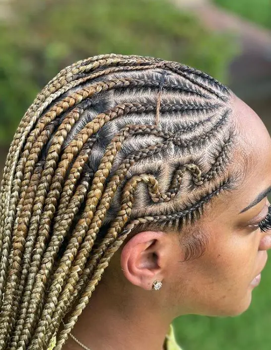 Long Complex Half Cornrow Tribal braid