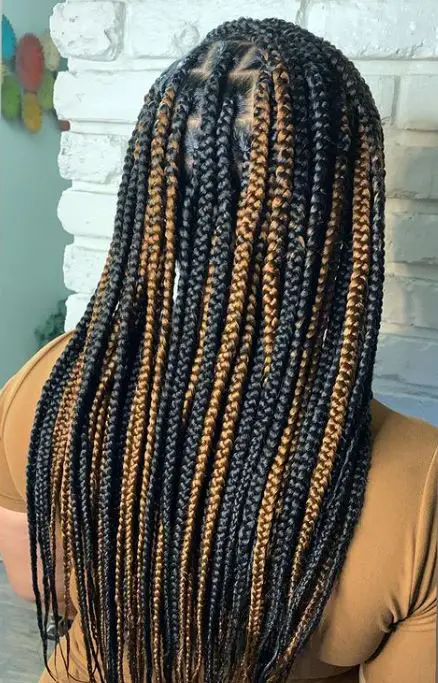 Medium knotless Tribal Braids