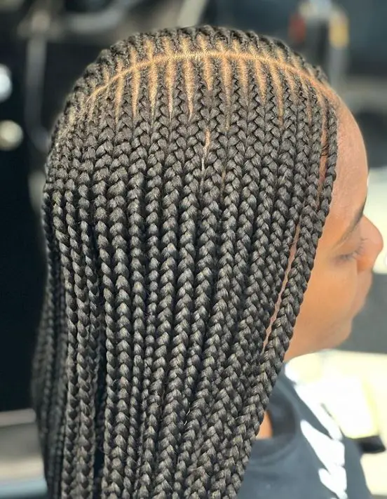 Middle Part Fulani Tribal Braids