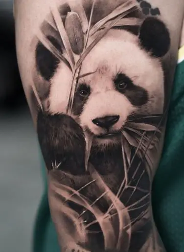 Realistic Panda Bear Tattoo