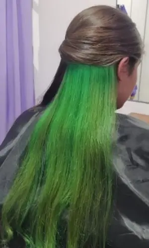 Light Green Underlights for Coffee Brown Hair