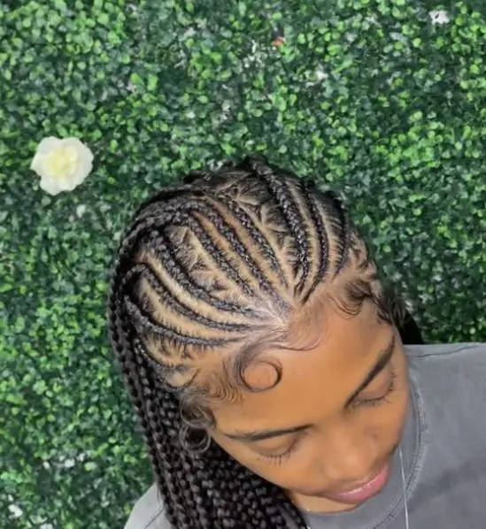 Triangle Part Stitch Braids