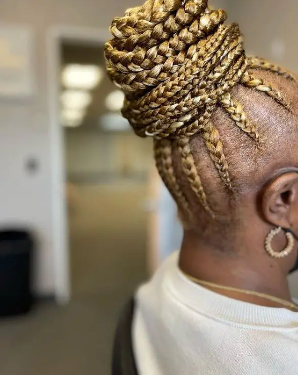 Tribal Braids in a Bun