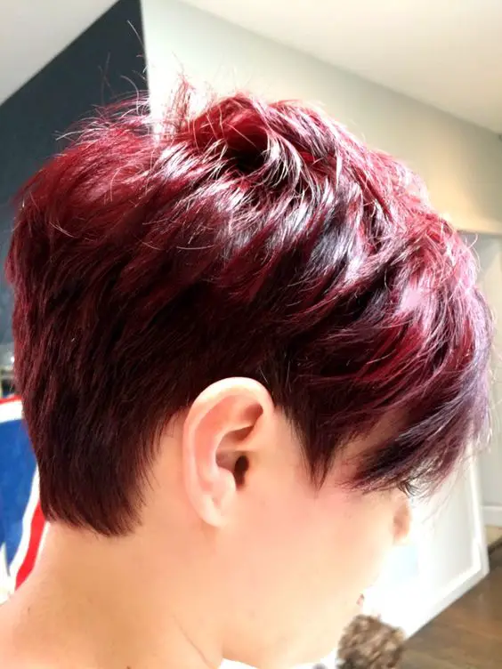 Wine Color For For A Short Hair