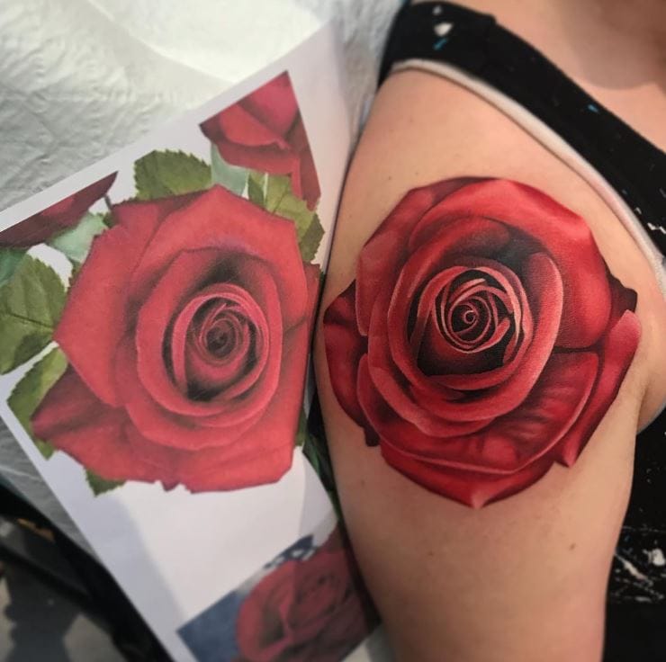red rose tattoo without leaves