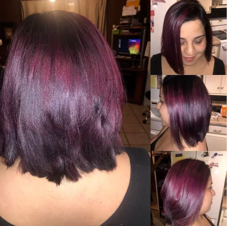 Black Cherry Plum Hair