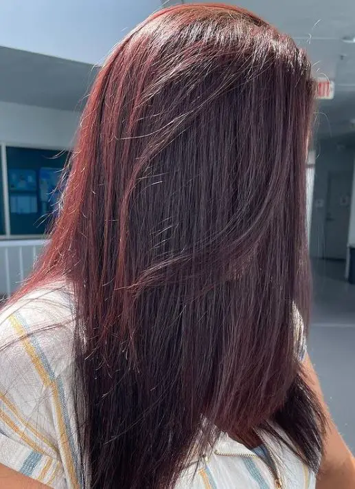 Black hair dye with plum undertone