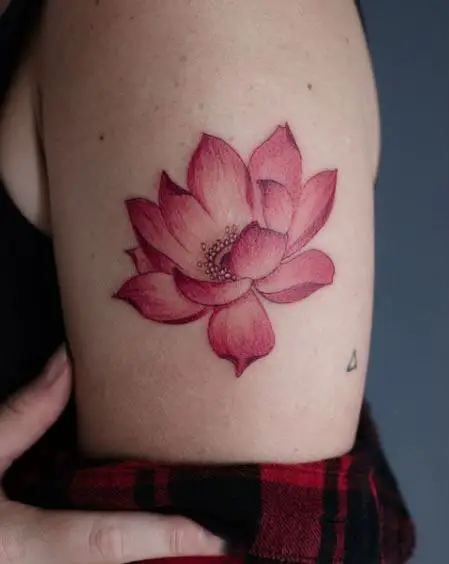 Bloomed Pink Small Lotus On The Arms