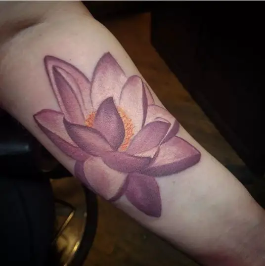 Bloomed Purple Big Lotus On The Hand