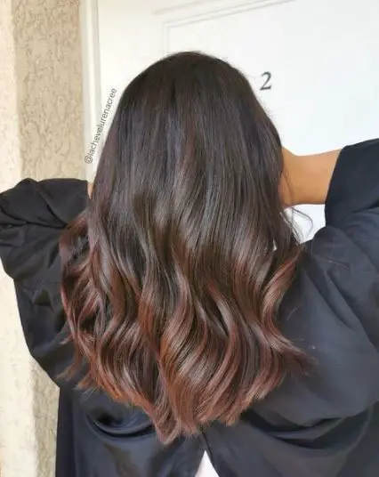 Brown with Coppery Brown Highlights