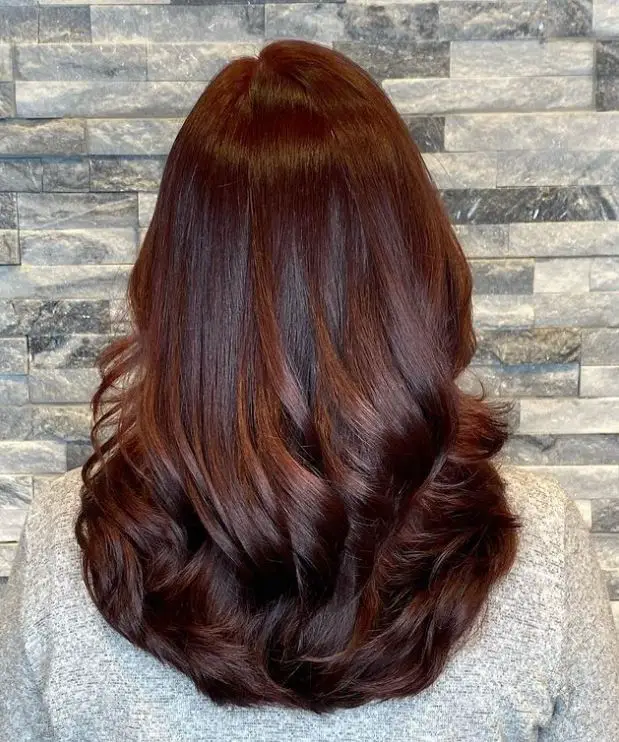 Chocolate Cherry Hair Color