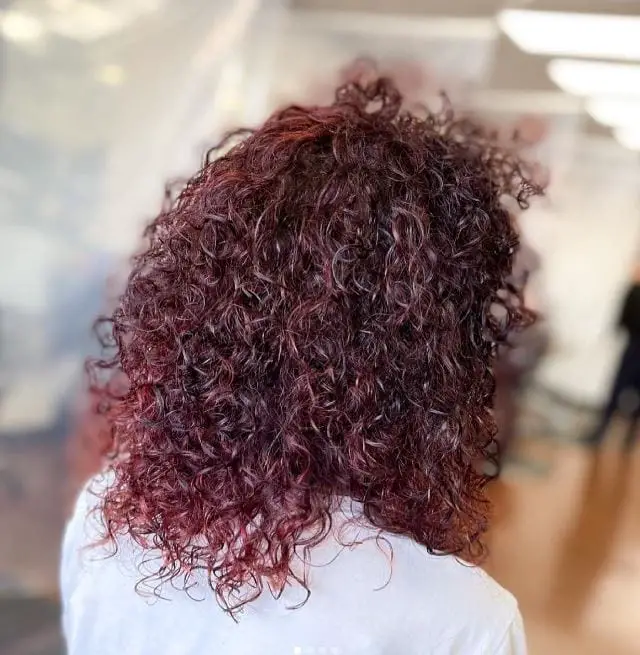 Curly Black Cherry Hair