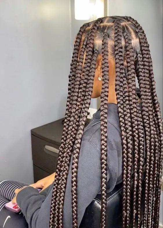 Dark Brown Knotless Braids