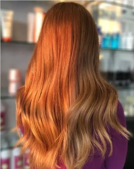 Half Blend Of Ginger and Copper Red