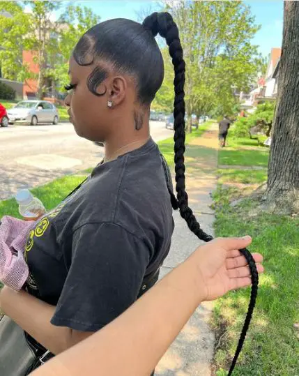 Long Tail Braided Pony