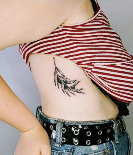 Olive Branch Tattoo For Ribs
