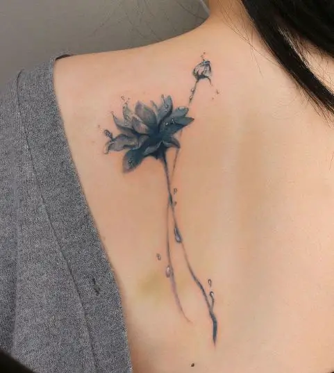 Water lotus on bruised skin