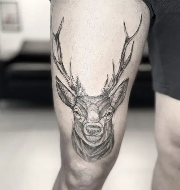 line work deer tattoo