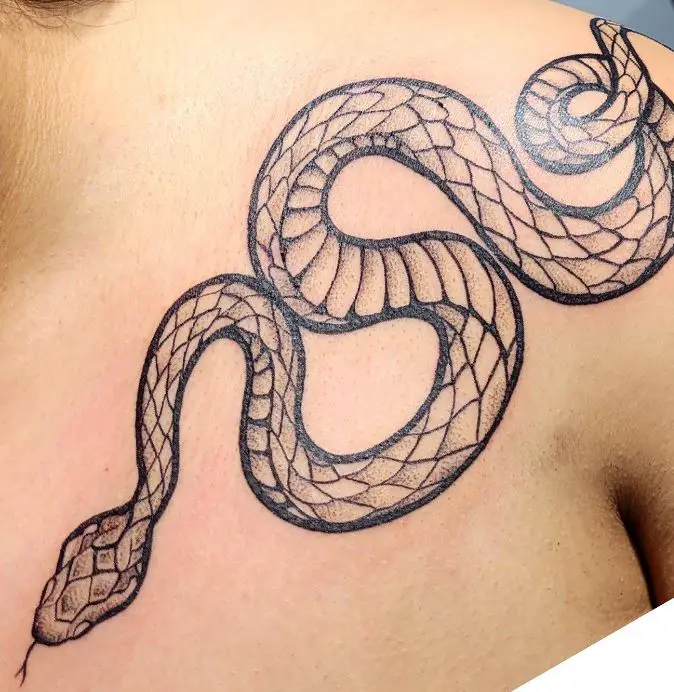 snake tattoo on the chest
