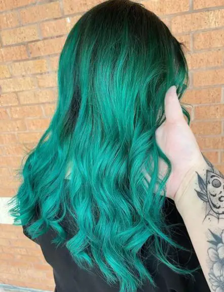 Black Long Dark Roots with Teal Hair