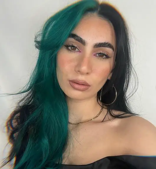 Part Black and Part Teal Hair