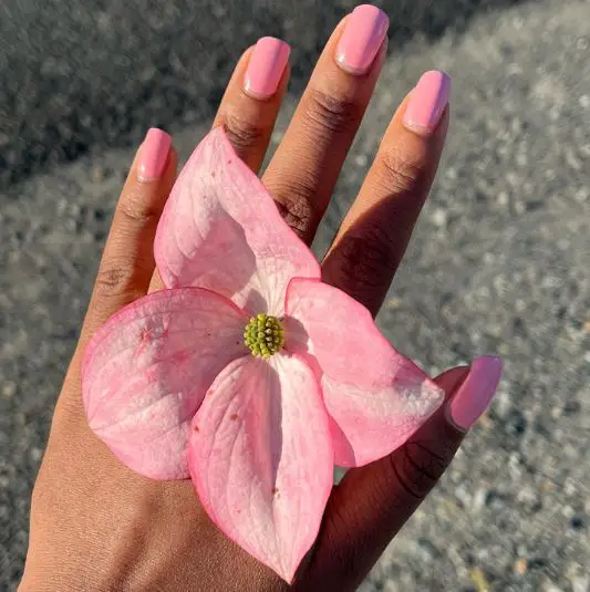 Light Pink Short Acrylic Nail