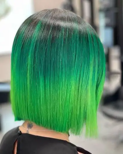 Light and Dark Green Ombre Hair