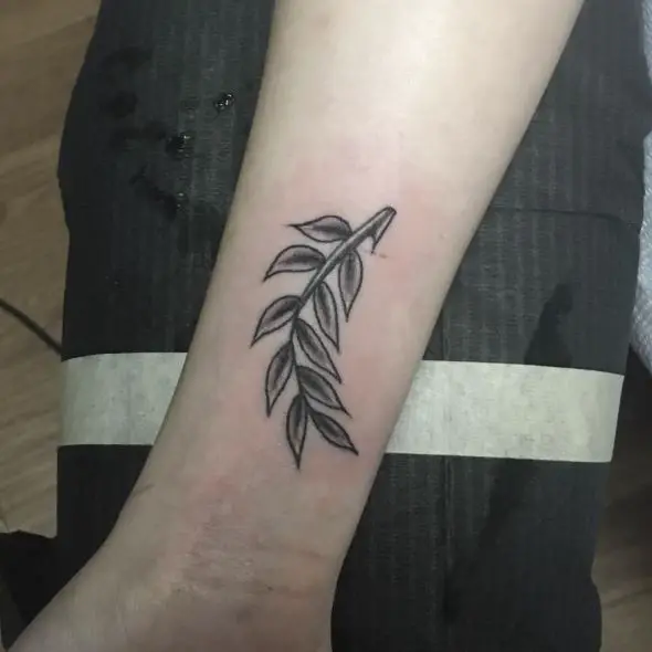 Little olive branch on arm
