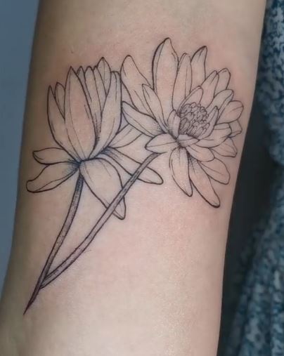 water lily Drawings for Tattoos | Water Lily Outline  http://tattoospedia.com/flower-tattoos-… | Japanese flower tattoo, Lotus  flower tattoo design, Japanese flowers