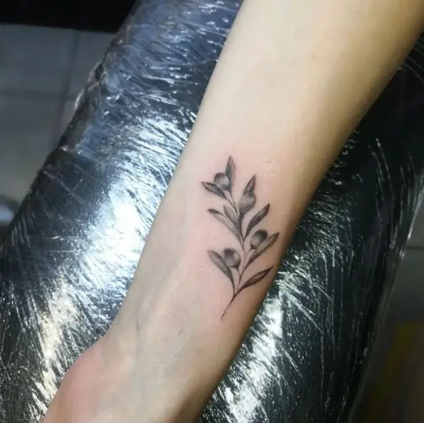 Inked Olive Branch