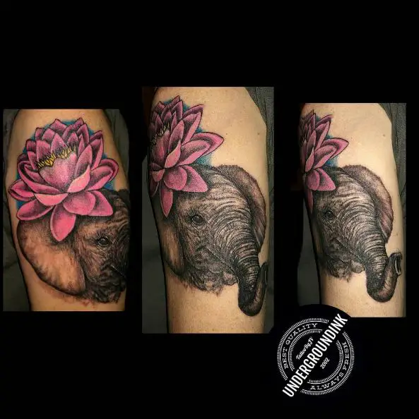 Elephant and Pink Water Lily Tattoo