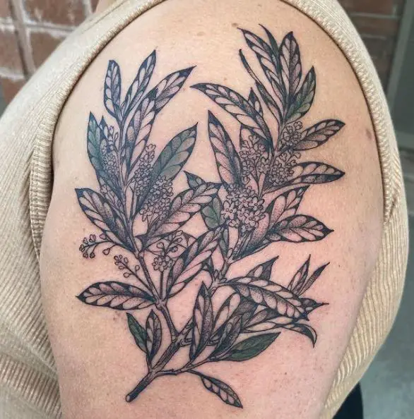 Olive Branches with Flowers