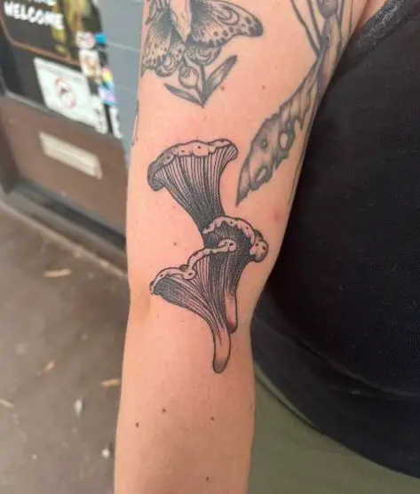 Gilled Mushrooms Tattoo on Arm