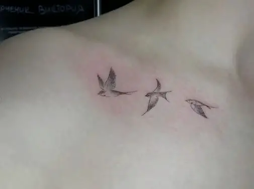 Beautiful Three Swallows Tattoo
