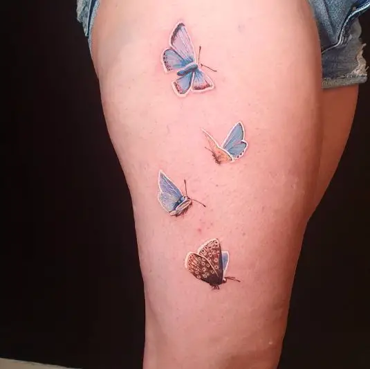 Blue and Brown Butterflies on Legs