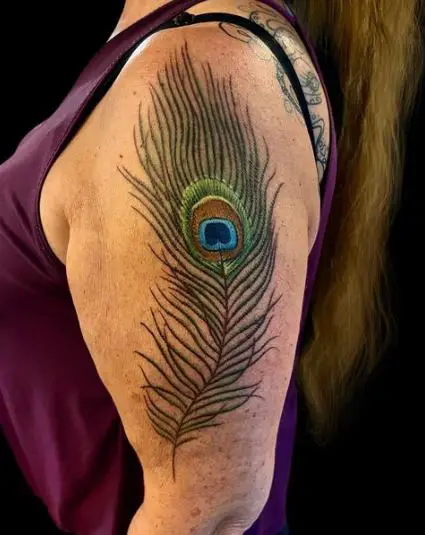 Peacock Feather Tattoo On Arm