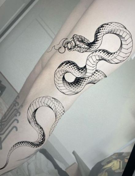Big Sketch Snake Tattoo