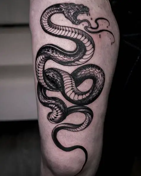 Big Realistic Dark Snake Tattoo