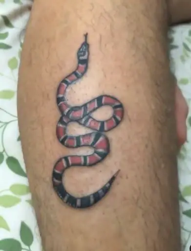 Scarlet Snake Leg Tattoo Piece