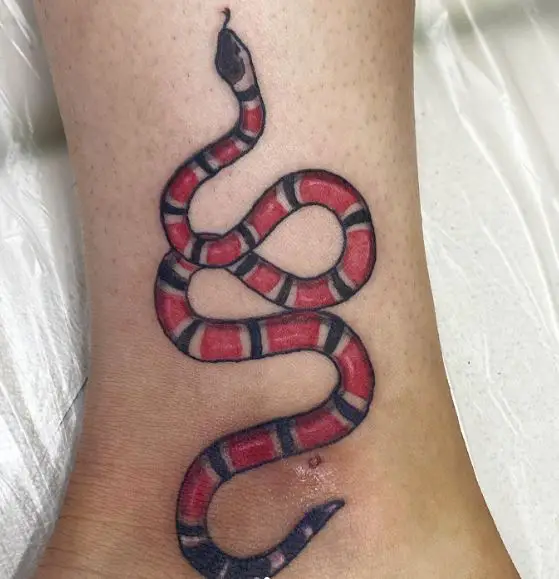 Scarlet Snake Tattoo on Ankle