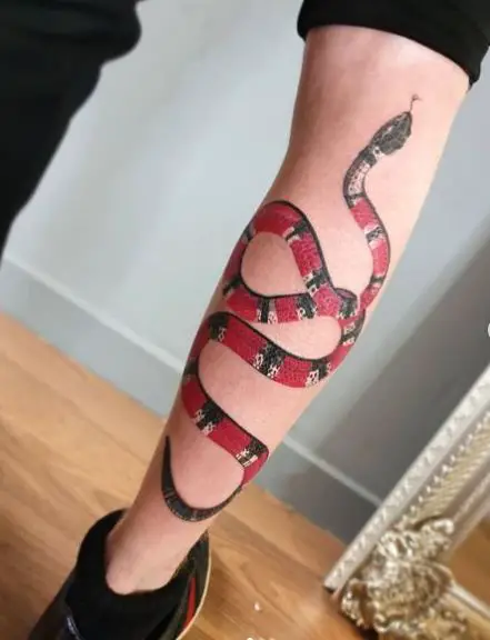 Scarlet Snake Tattoo Gucci Style