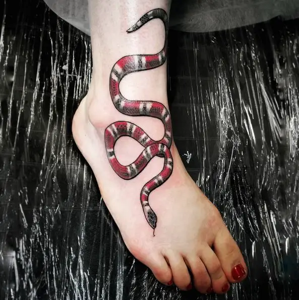 Gucci Scarlet Snake on Foot